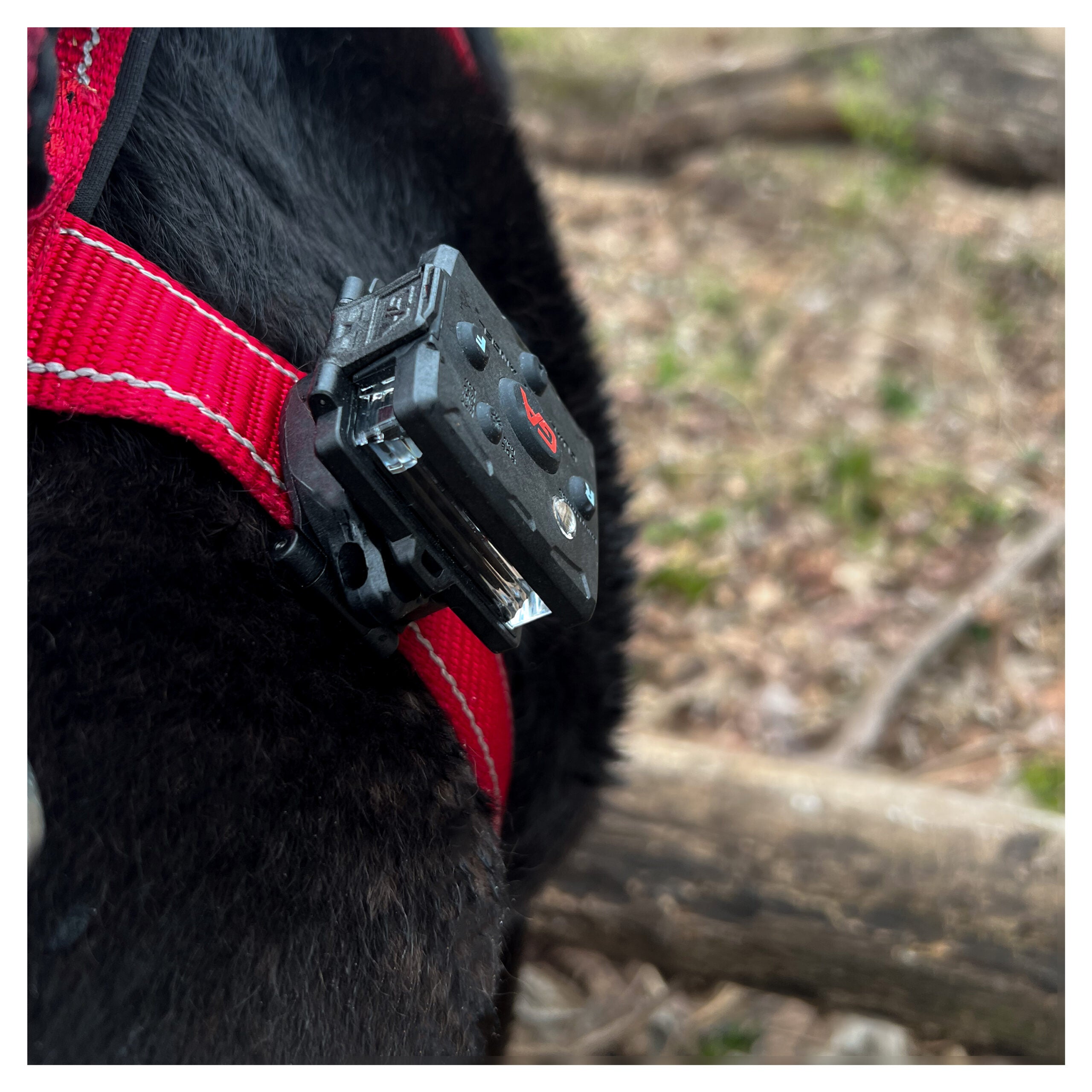 Guardian Angel Snap-Lock Mount: Dog/K9 Safety (ACC-SLM)